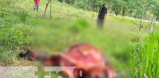 Nicaragua, matiguás, abigeato, policía