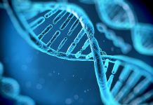 Catálogo de ADN ayuda a encontrar raíces de enfermedades