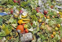 América Latina desperdicia hasta 348.000 toneladas de alimentos por día
