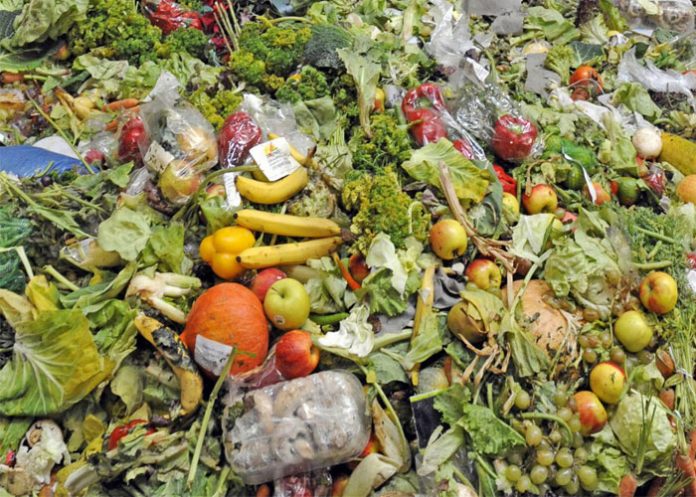 Alimentos