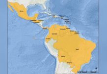 Zika se extenderá por casi todo el continente americano, asegura la OMS