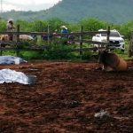Violencia en Ipala: Reportan seis muertos en ataque armado guatemala, ipala, ataque, muerte, finca, autoridades,