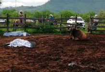 Violencia en Ipala: Reportan seis muertos en ataque armado guatemala, ipala, ataque, muerte, finca, autoridades,