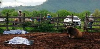 guatemala, ipala, ataque, muerte, finca, autoridades,