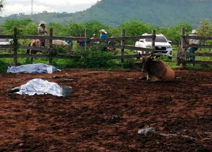 guatemala, ipala, ataque, muerte, finca, autoridades,