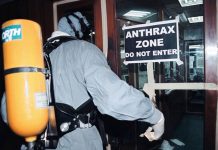 Cuarentena en región de Siberia por brote de ántrax