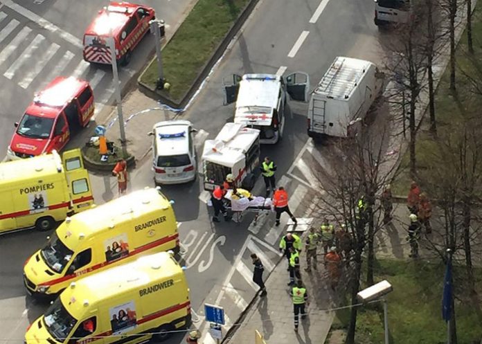 Bruselas1