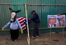 México: Otumba y su feria de burros