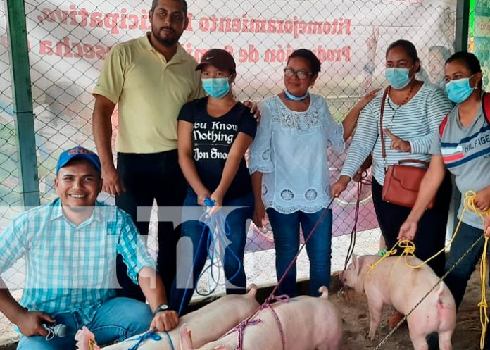 nicaragua, madriz, cerdas, protagonistas,