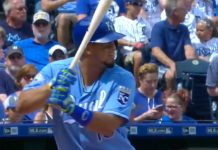 Cheslor domado