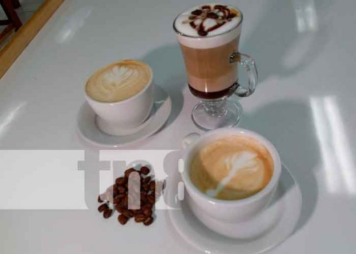 nicaragua, matagalpa, san isidro, escuela de catacion, barismo, cafe,