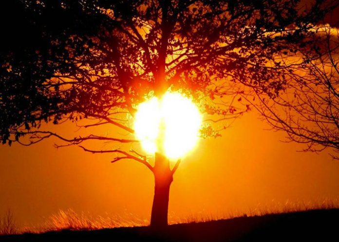 Calor-web