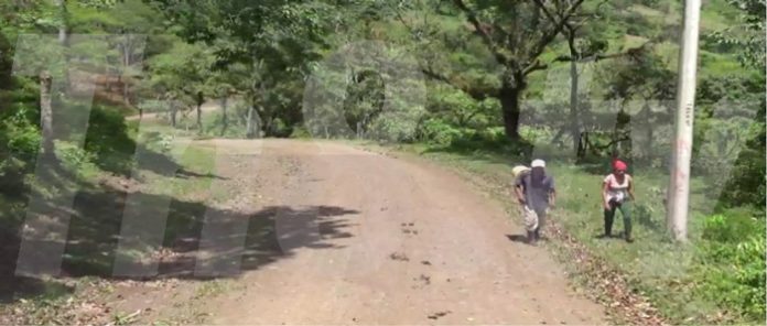 Caminos-Boaco-web
