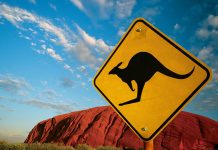 Canguro provoca lesiones a dos ciclistas en Australia