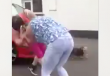 En video: Mujeres se arrastran del pelo por todo el pavimento