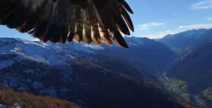 Captura-de-pantalla-2015-11-13-a-las-13.32.32