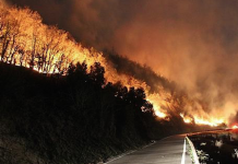 Se desata un gran incendio forestal en España