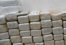 Policía Federal de México decomisa 2,6 toneladas de marihuana