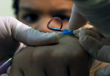 Alemania desarrolla la primera prueba para detectar virus del Zika