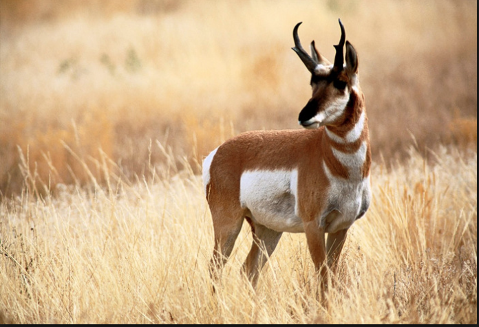 Captura_de_pantalla_2017-11-09_a_las_15.49.50