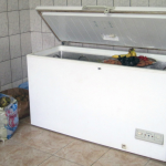 Detienen a mujer Argentina por cambiar a su hija por un congelador