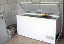 Detienen a mujer Argentina por cambiar a su hija por un congelador