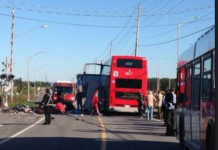 Cinco muertos entre choque de tren y bus