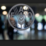 Tasa alimenticia en América latina reduce según la FAO