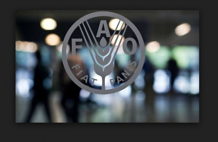 Captura_de_pantalla_2017-11-15_a_las_13.28.31