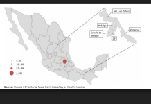 Brote de cólera en México