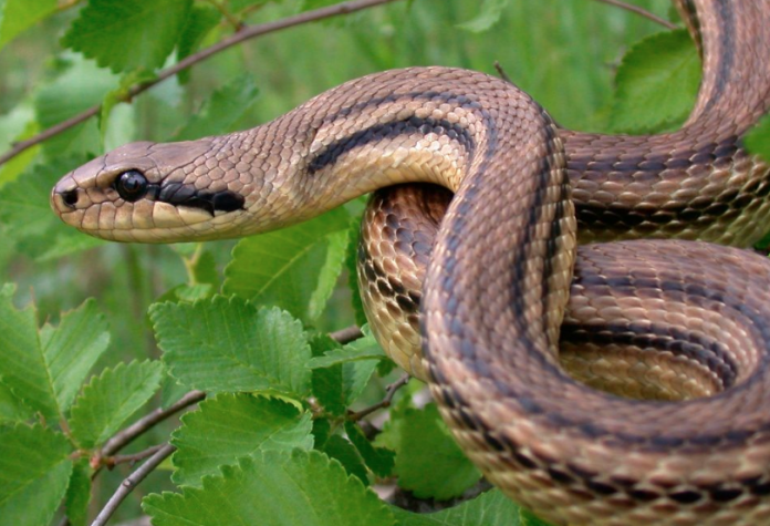 Captura_de_pantalla_2017-11-21_a_las_13.42.27