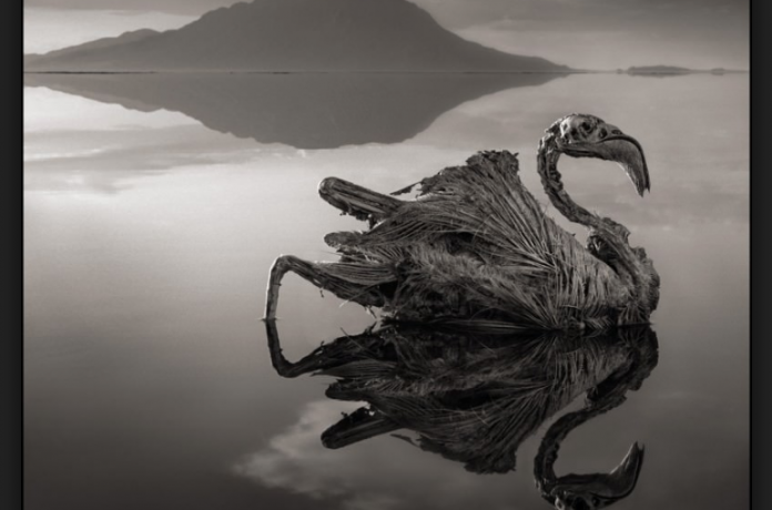 Captura_de_pantalla_2017-11-21_a_las_14.18.38