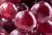 Un trabajador español muere al ser aplastado por cinco toneladas de uvas