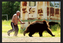 En Rusia un hombre se defiende de ataque de oso