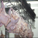 Alerta sanitaria por salmonela en pollo de EU