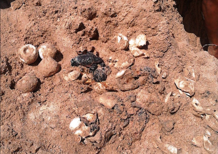 Captura_de_pantalla_2017-12-11_a_las_16.35.43