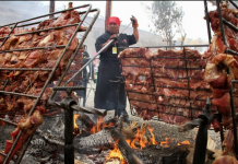 En Perú prohíben festival en el que mataban y comían gatos