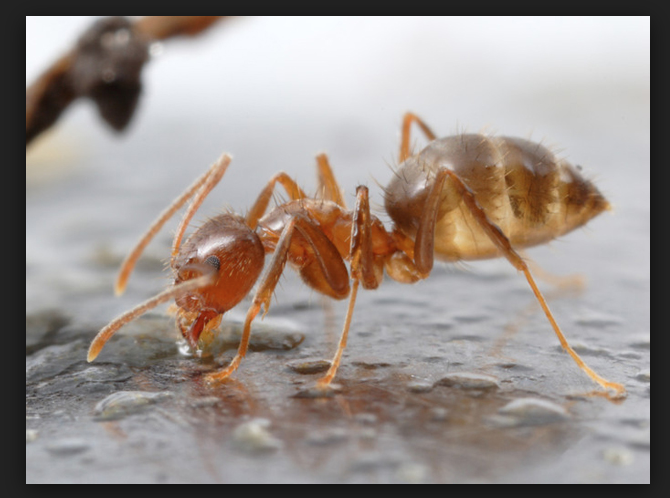 Captura_de_pantalla_2018-01-02_a_las_10.19.27