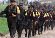 Colombianos por la Paz solicitarán a las FARC cese al fuego unilateral