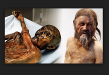 Identifican a 19 descendientes vivos de Ötzi, el ‘hombre de los hielos’