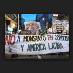 52 países celebran Día Global de Acción contra Monsanto