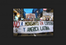 52 países celebran Día Global de Acción contra Monsanto