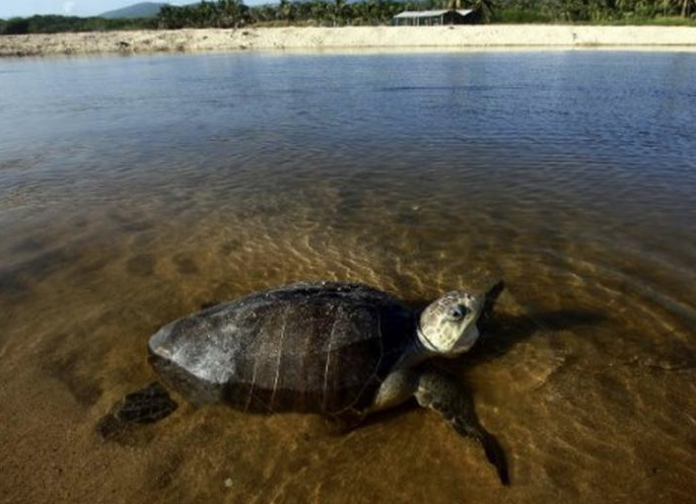 Captura_de_pantalla_2018-01-10_a_las_15.13.16