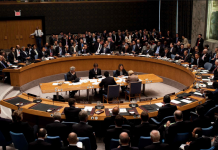 Chile es elegido miembro del Consejo de Seguridad de la ONU