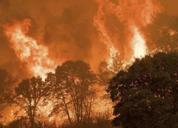Captura_de_pantalla_2018-01-22_a_las_11.57.10
