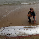 Aparece otro pez remo en California