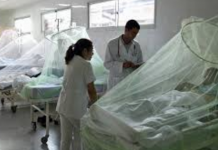 Honduras registra 27 muertes por dengue aumentaron