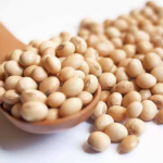 13 Alimentos Considerados La Fuente De La Eterna Juventud alimentos