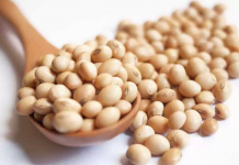 13 Alimentos Considerados La Fuente De La Eterna Juventud alimentos