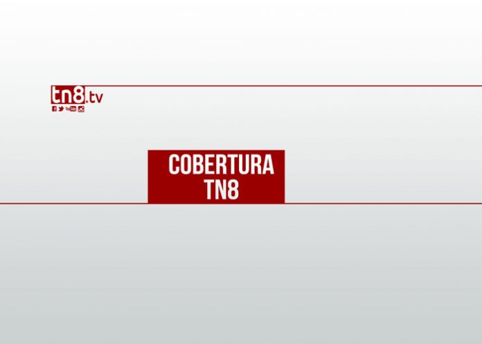 CoberturaTN81